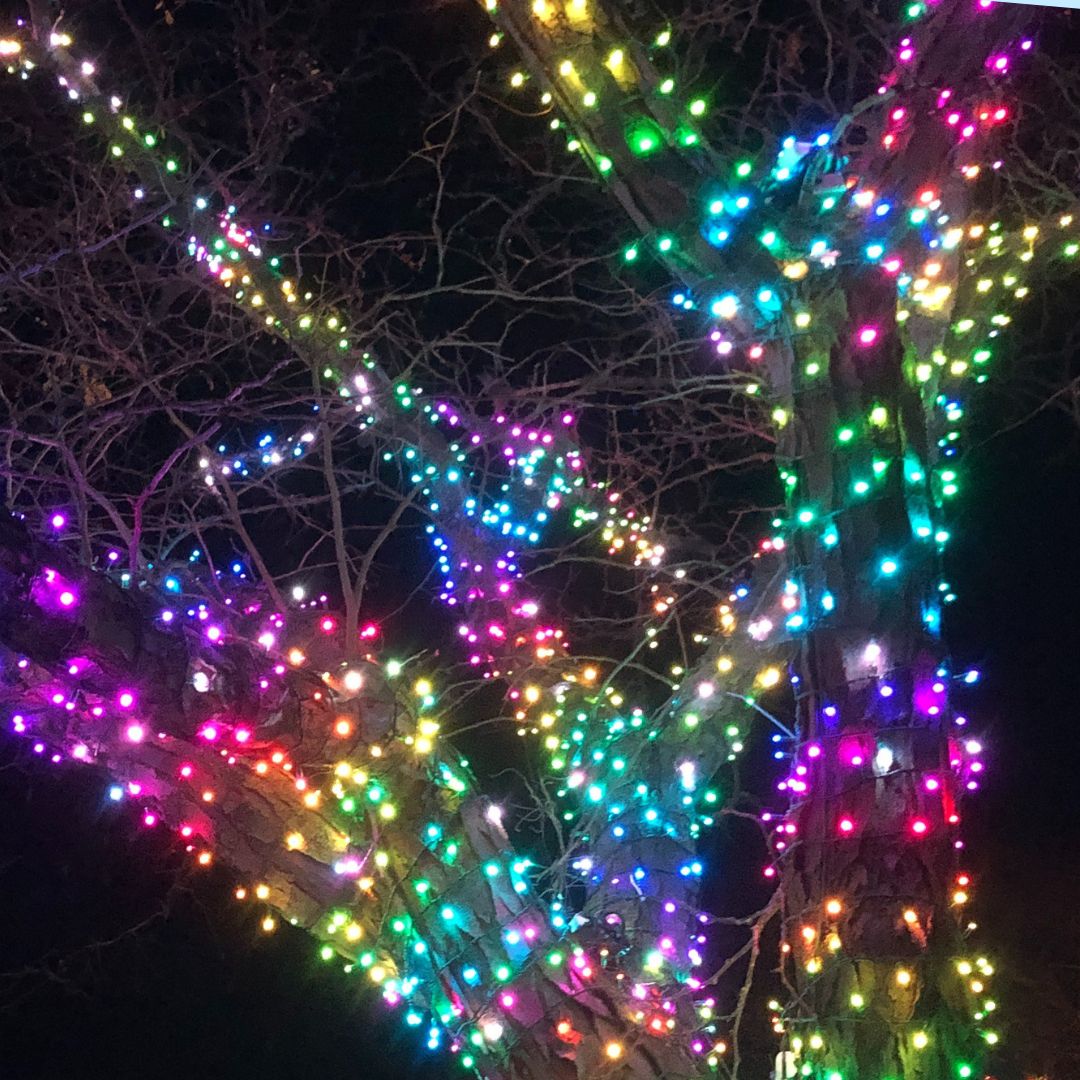 Guirlande Twinkly Pro RVB L25m - 24V